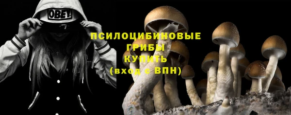 герыч Алзамай