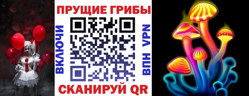 МЕГА tor  купить наркотики цена  Неман  Галлюциногенные грибы Psilocybe 